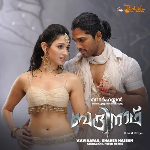 Badrinath album cover
