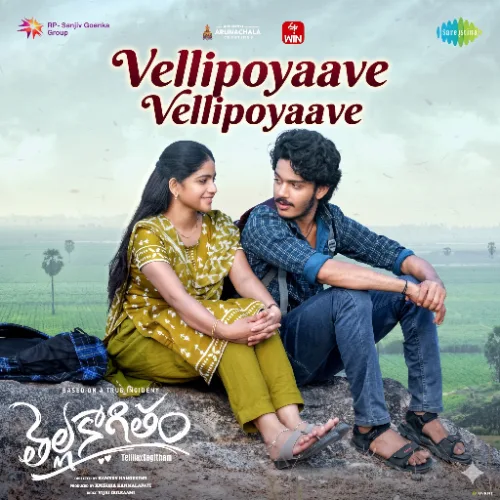 Vellipoyaave Vellipoyaave by P V N S Rohit lyrics cover